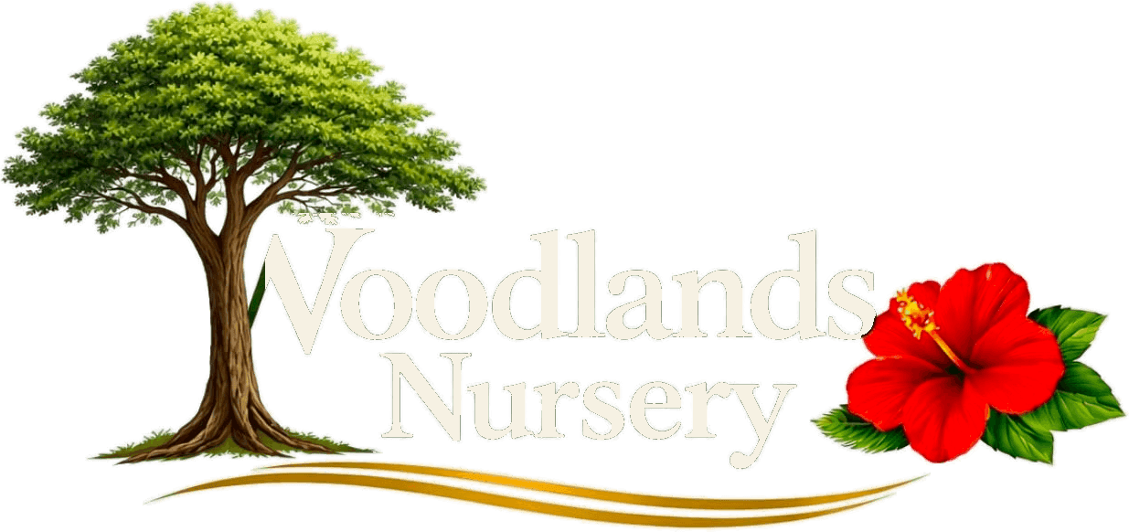 Woodlands Nursery