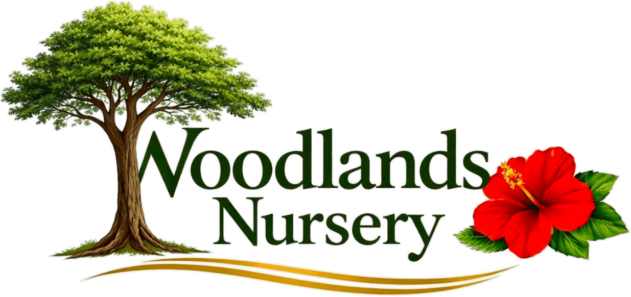 Woodlands Nursery