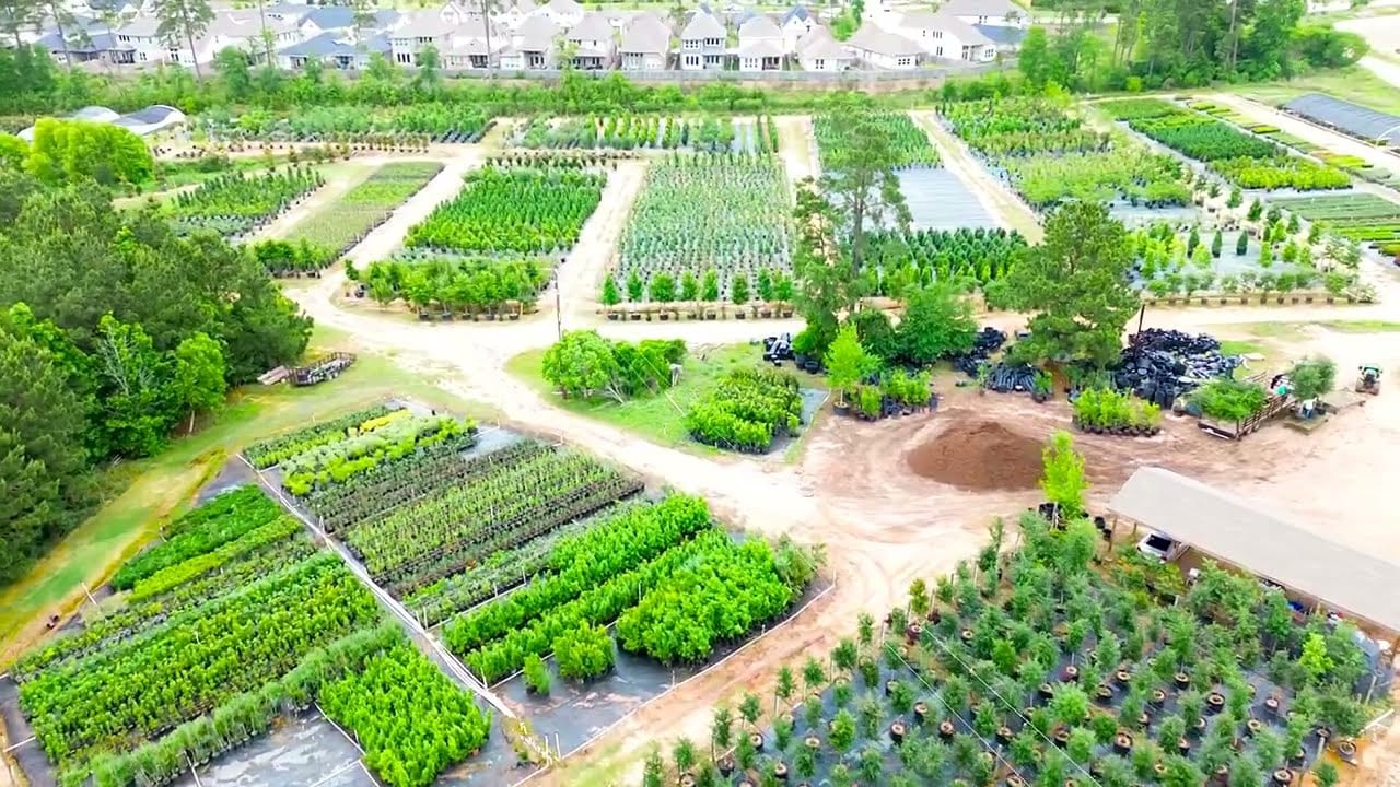 Aerial view of Woodlands Nursery's container rows and tree yard
